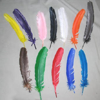 Solid Colored Wing Feathers 11" and up
